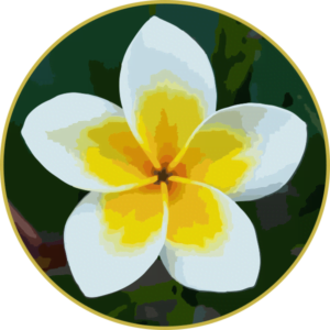 Floral de Jasmim Manga