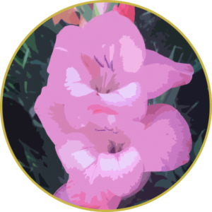 Floral de Palma Rosa