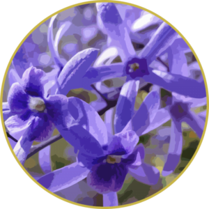 Floral de São Miguel