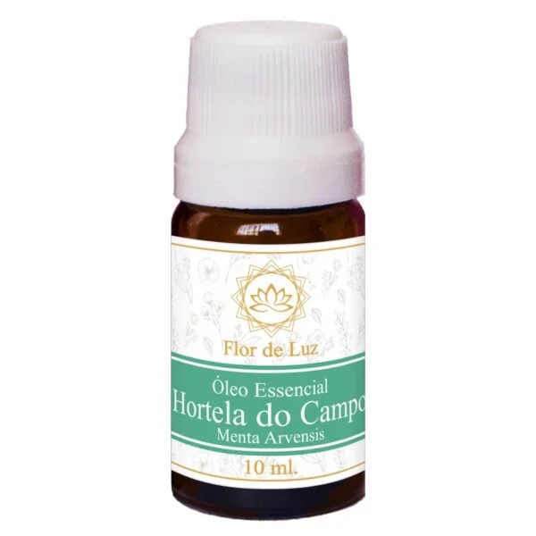 OE Hortelâ do Campo - Menta Arvensis